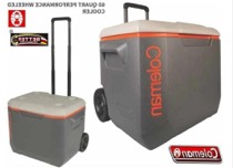 REGULADOR AVR CON PORTA CARBON